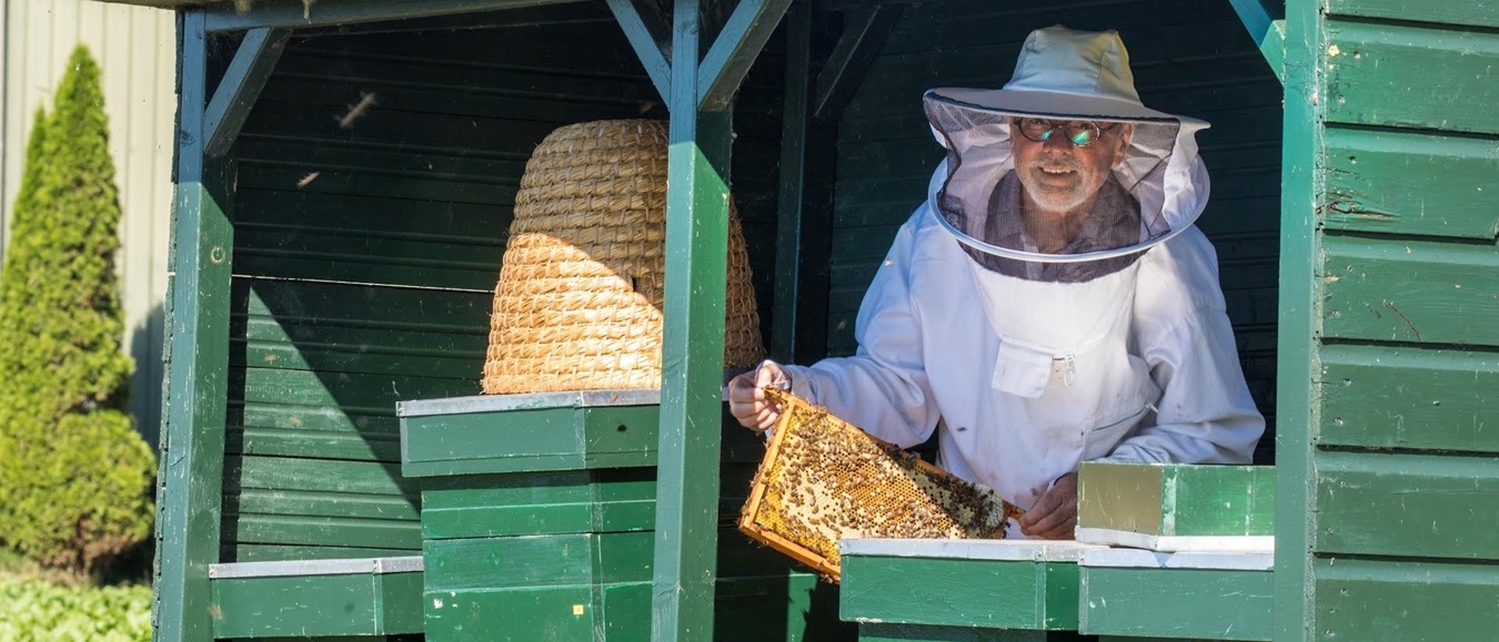 Bijenhouders openen deuren tijdens Landelijke Open Imkerijdagen 